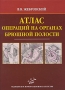 Атлас операций на органах брюшной полости Издательство: Медицинское информационное агентство, 2009 г Твердый переплет, 464 стр ISBN 978-5-8948-1771-2 Тираж: 3000 экз Формат: 60x90/8 (~220х290 мм) инфо 6924e.
