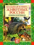Большая книга животных России Словарь в картинках Издательство: АСТ-Пресс Книга, 2008 г Твердый переплет, 64 стр ISBN 978-5-462-00742-2 Тираж: 10000 экз Формат: 84x108/16 (~205х290 мм) Цветные иллюстрации инфо 10442e.